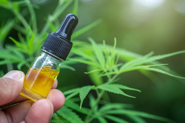 Como fazer o tratamento com Cannabis Medicinal?