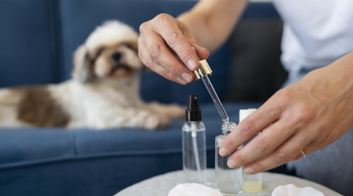 Cannabis Medicinal para tratamento de Pets